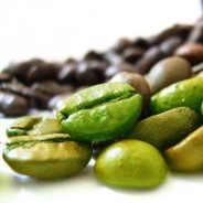Struts 2 Bean Tag
