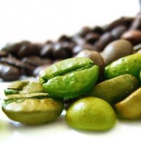 Struts 2 Bean Tag