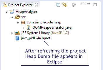 Eclipse Heap Dump Memory Analyser